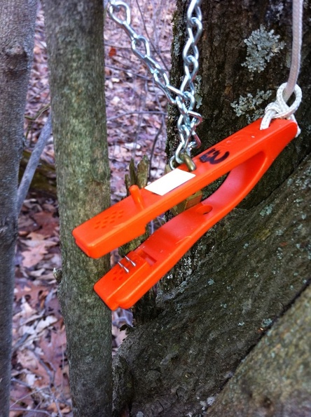 Big Limestone orienteering